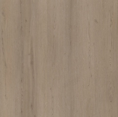 Ambiant Venera  Rigid Klik (Smoky)