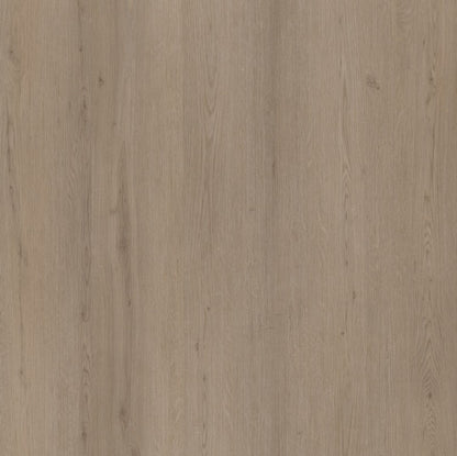 Ambiant Venera (Smoky)