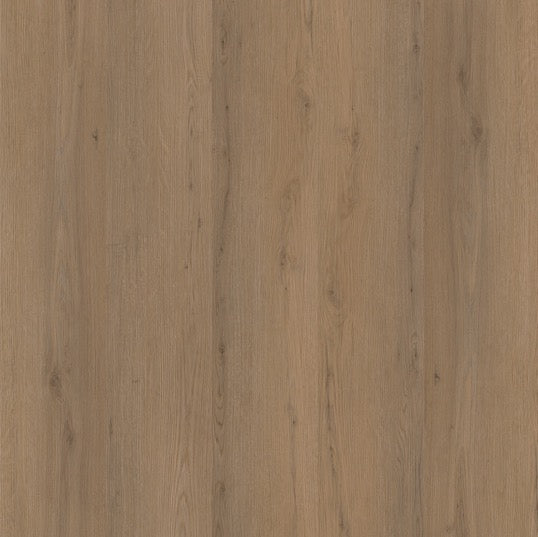 Ambiant Venera  Rigid Klik (Dark Oak)