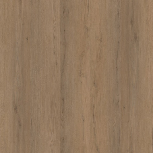 Ambiant Venera  Rigid Klik (Dark Oak)