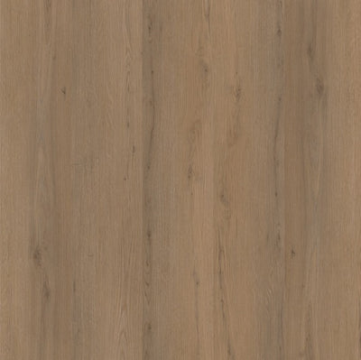 Ambiant Venera (Dark Oak)