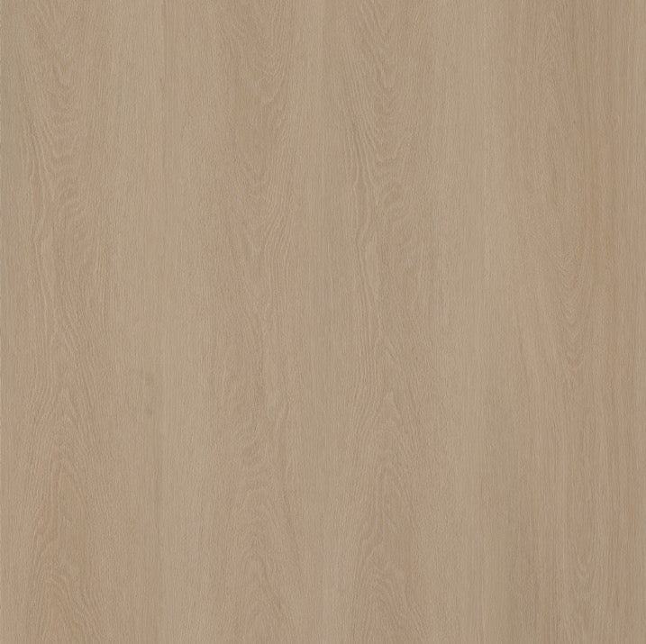 Ambiant Estino Silent Rigid Click (Smoky)