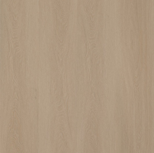 Ambiant Estino Silent Rigid Click (Smoky)