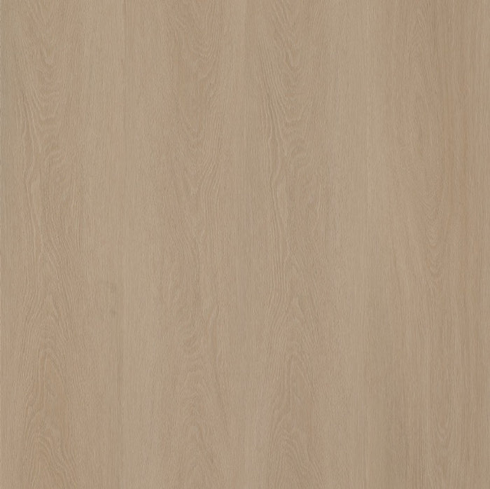 Ambiant Estino Silent Rigid Click (Smoky)