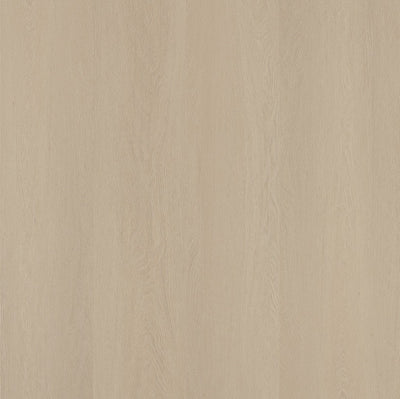 Ambiant Estino (Beige)