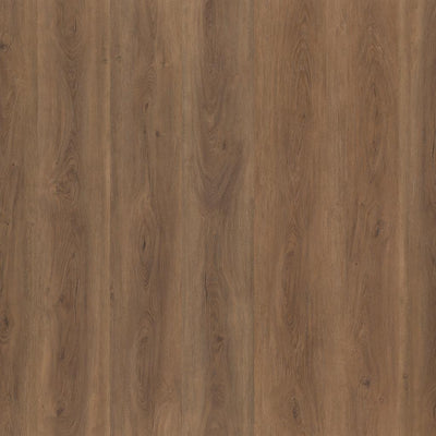 Ambiant Robusto (Warm Brown)
