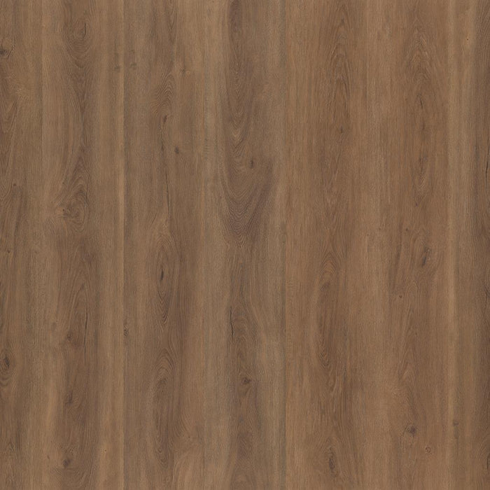 Ambiant Robusto (Warm Brown)