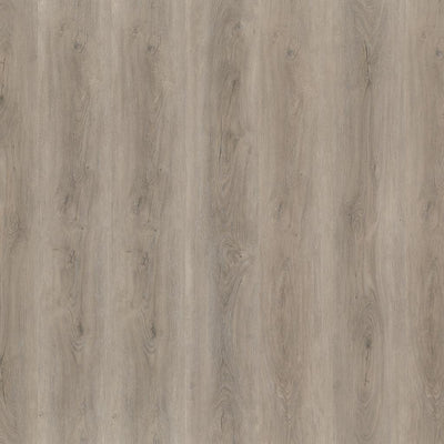 Ambiant Robusto (Light Grey)