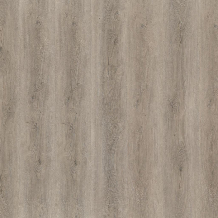 Ambiant Robusto (Light Grey)