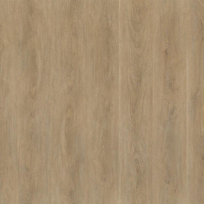 Ambiant Robusto (Natural Oak)