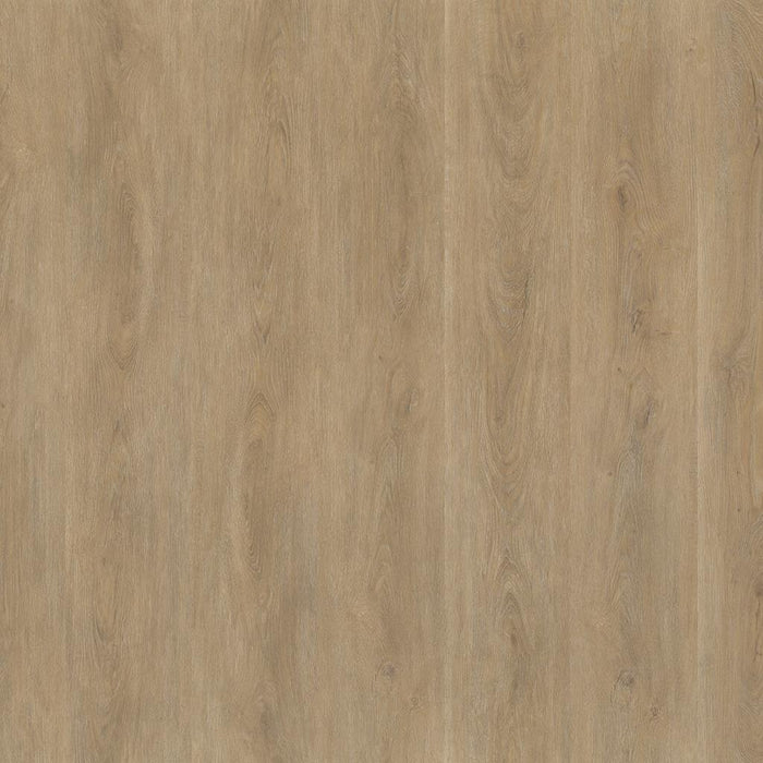 Ambiant Robusto (Natural Oak)