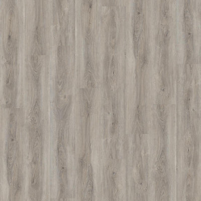 Ambiant Robusto Silent Rigid Click (Light Grey)