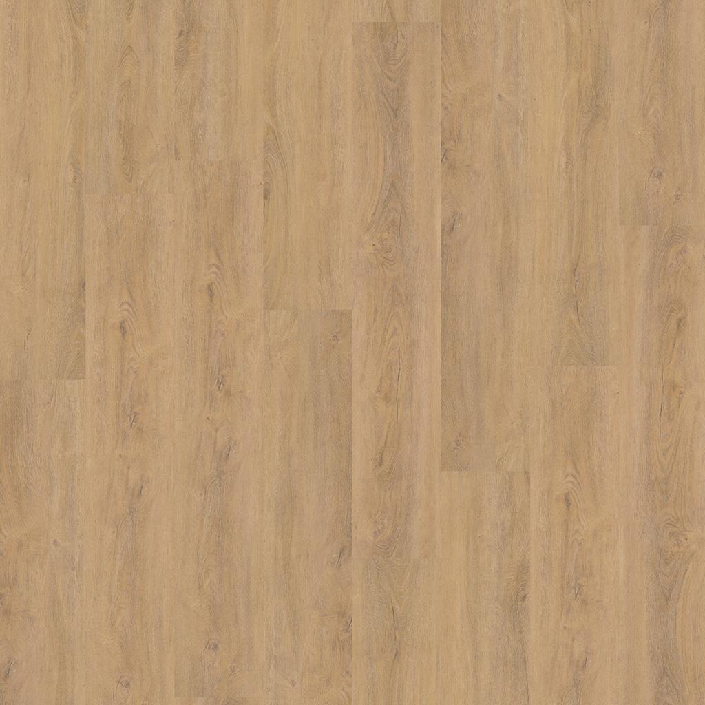 Ambiant Robusto Silent Rigid Click (Natural Oak)