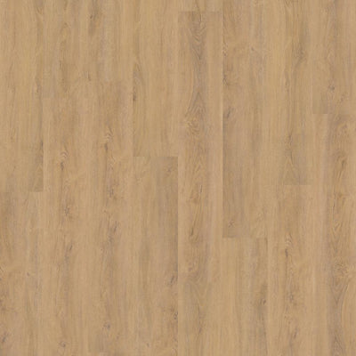 Ambiant Robusto Silent Rigid Click (Natural Oak)