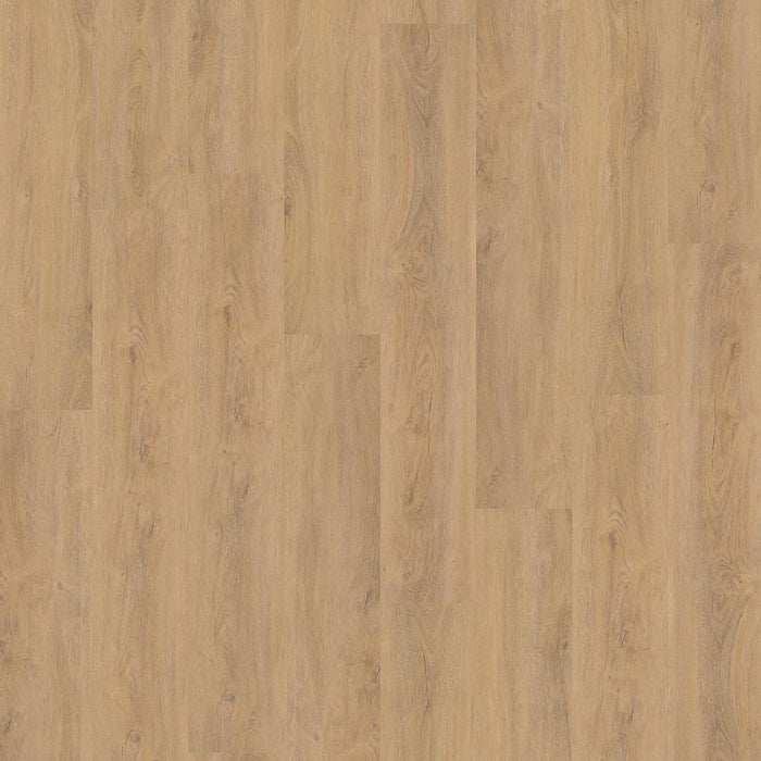 Ambiant Robusto Silent Rigid Click (Natural Oak)
