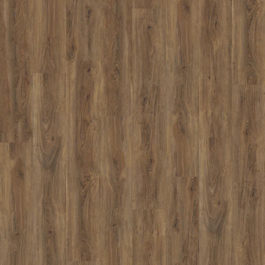 Ambiant Robusto Silent Rigid Click (Warm Brown)