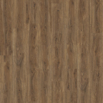 Ambiant Robusto Silent Rigid Click (Warm Brown)