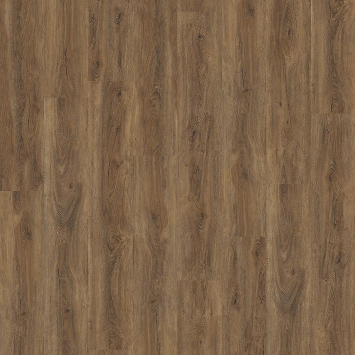 Ambiant Robusto Silent Rigid Click (Warm Brown)