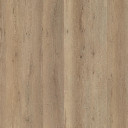 Ambiant Vivero (Natural Oak)