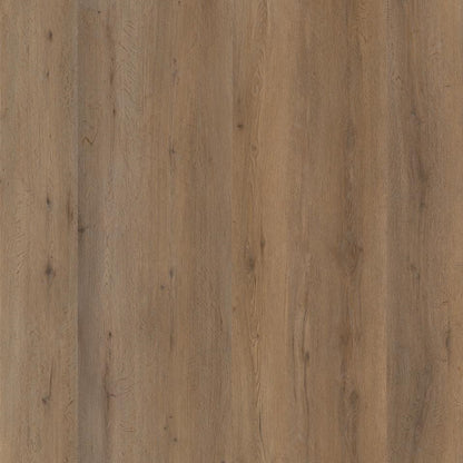 Ambiant Vivero (Smoky)