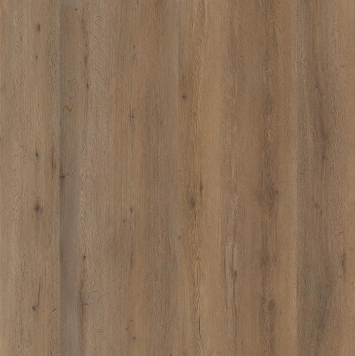 Ambiant Vivero (Smoky)