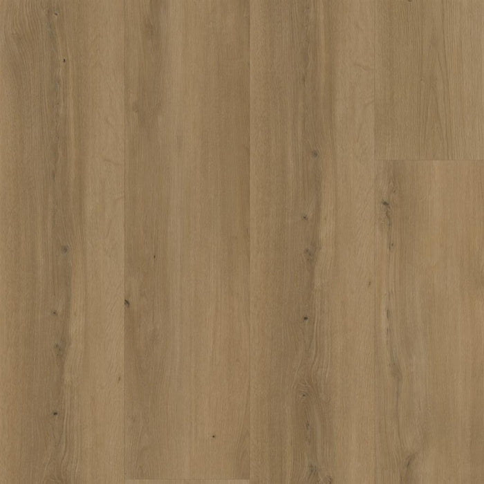 Ambiant Espero (Dark Oak)