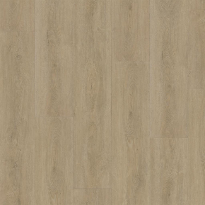 Ambiant Robusto (Beige)