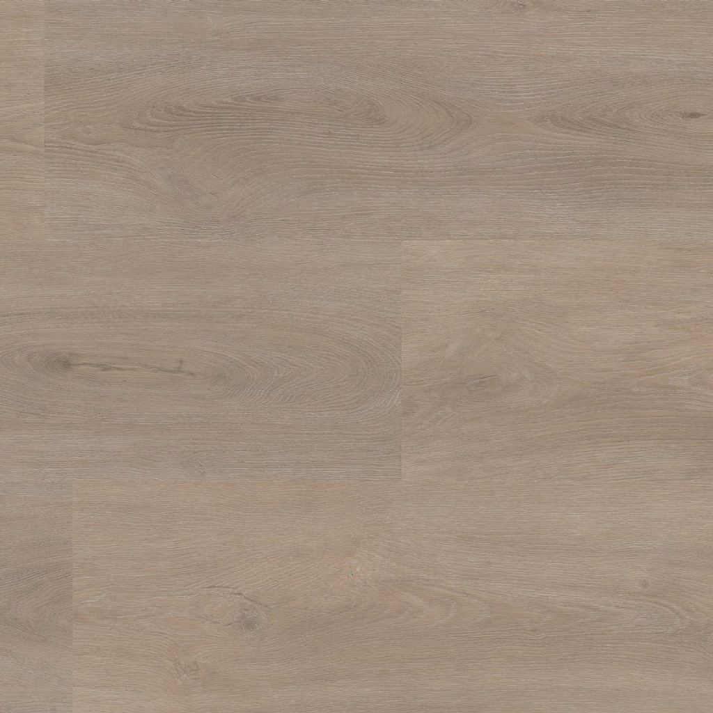Ambiant Robusto Silent Rigid Click (Light Oak)