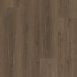 Warm Brown