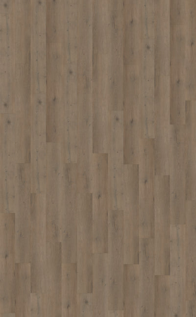 Belakos Attico 840 | Bruin