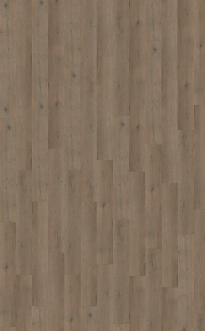 Belakos Attico 840 | Bruin