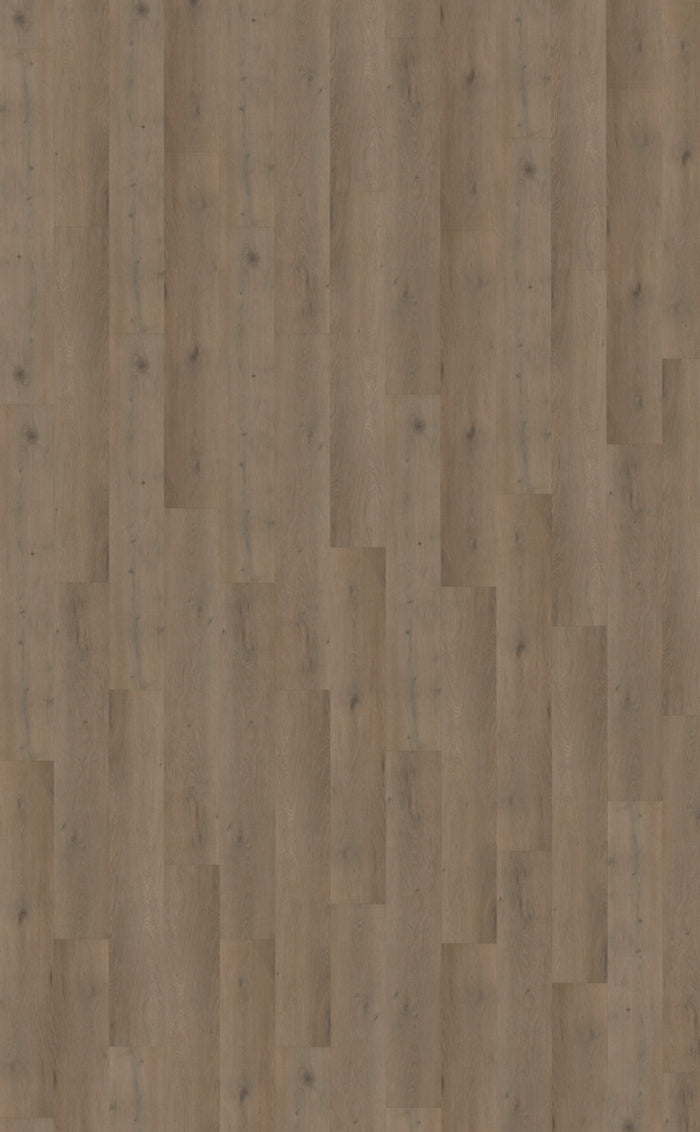 Belakos Attico 840 | Bruin