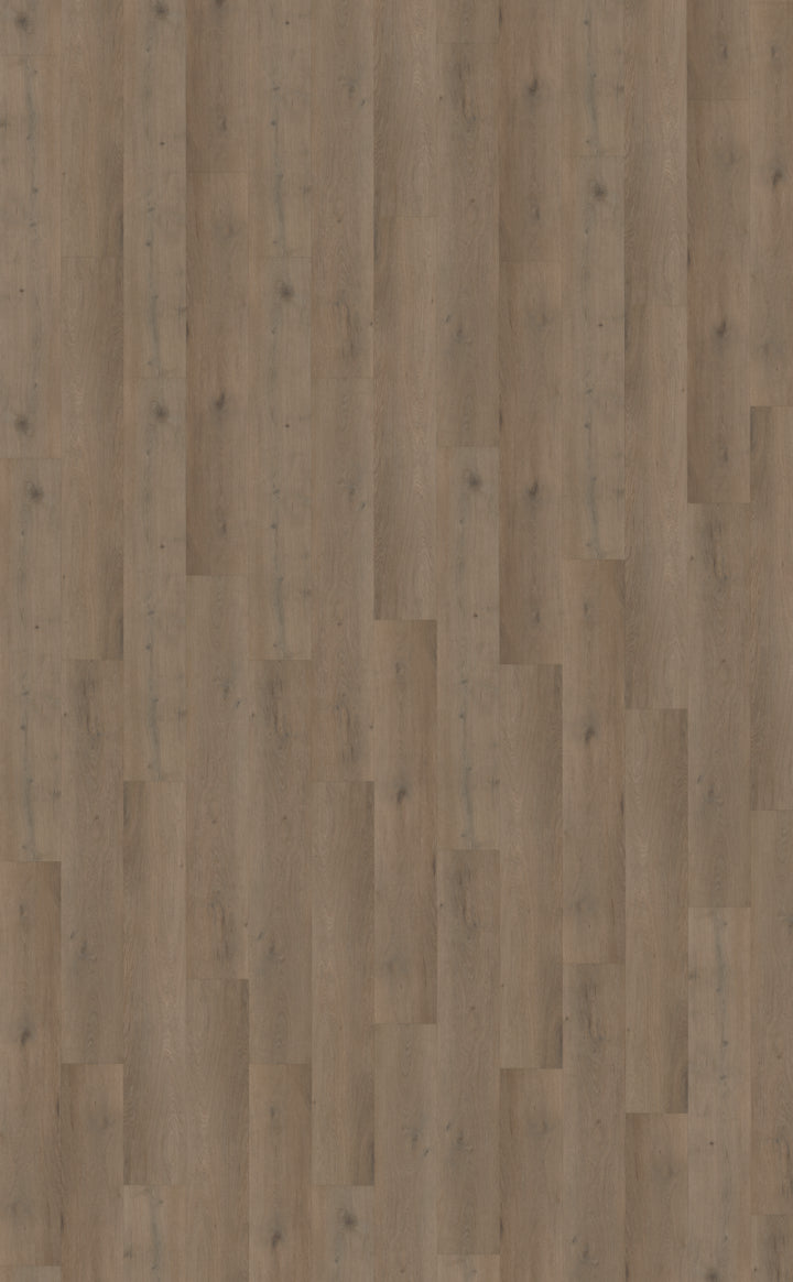 Belakos Attico 840 | Rigid Click | Bruin