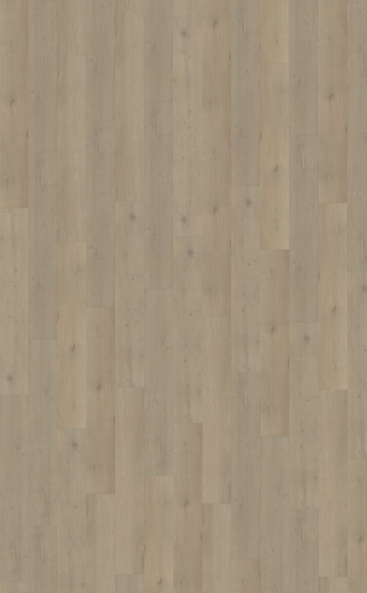 Belakos Attico 850 | Bruin