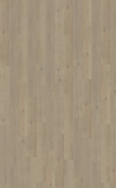 Belakos Attico 850 | Bruin