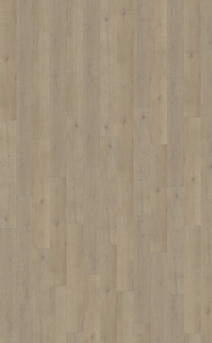 Belakos Attico 850 | Bruin