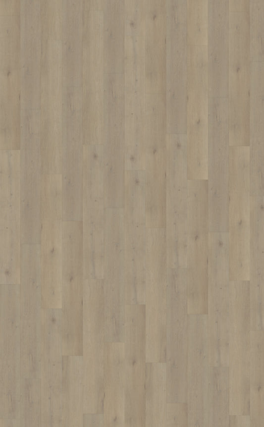 Belakos Attico 850 | Bruin