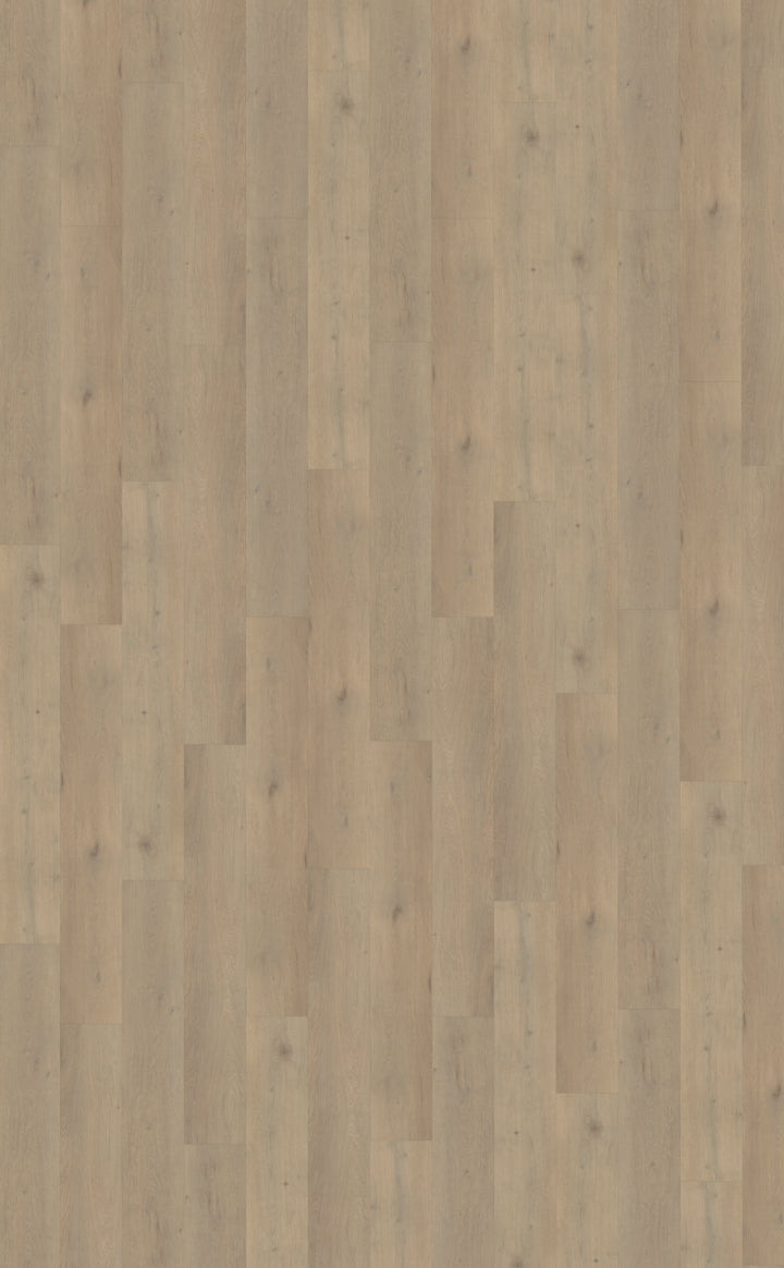 Belakos Attico 860 | Bruin