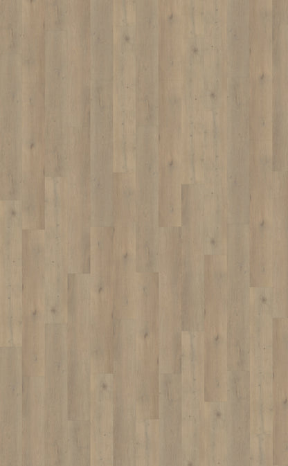 Belakos Attico 860 | Bruin