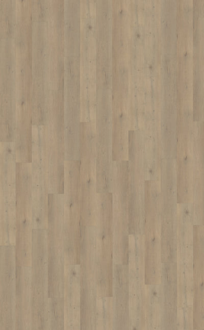 Belakos Attico 860 | Rigid Click | Bruin