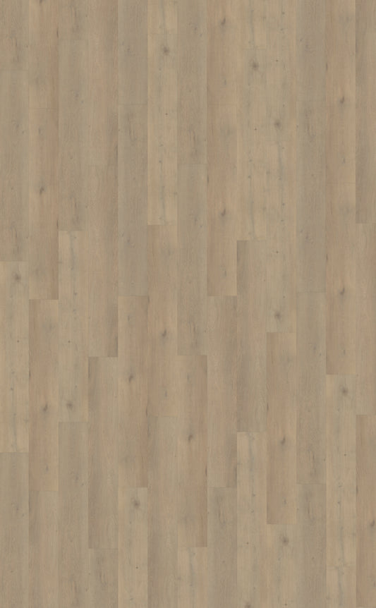 Belakos Attico 860 | Rigid Click | Bruin