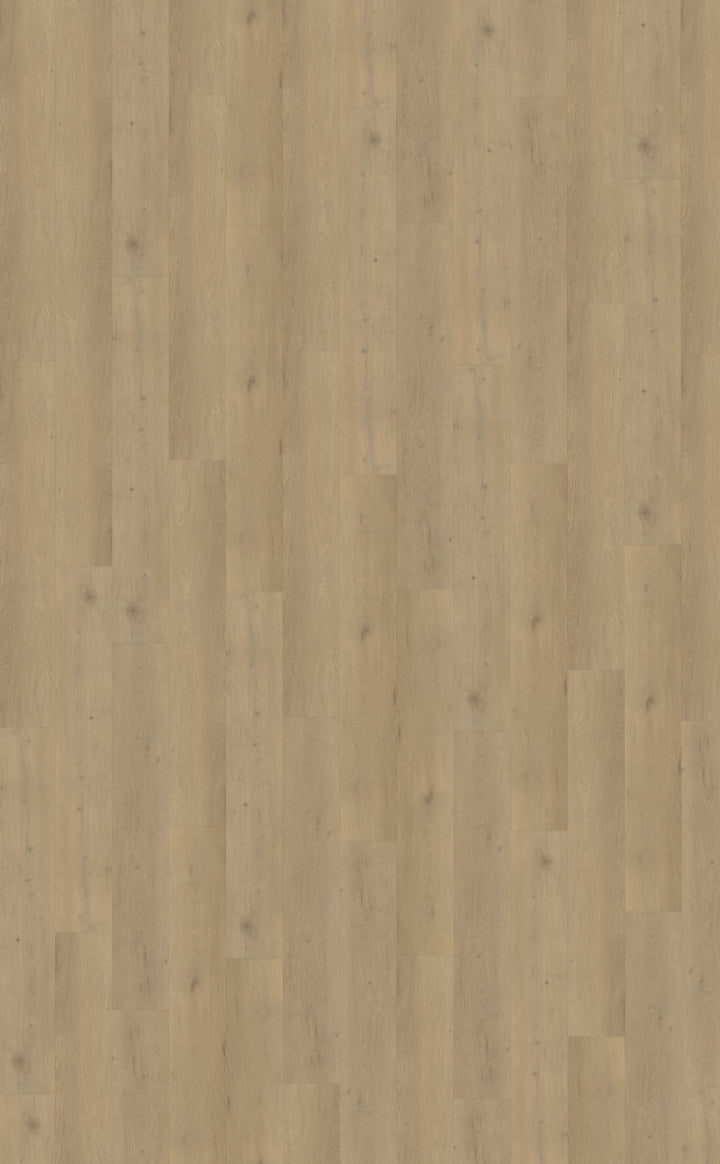 Belakos Attico 870 | Bruin