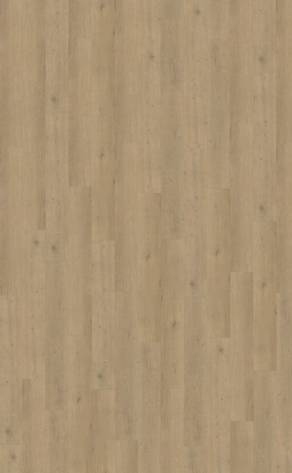 Belakos Attico 870 | Bruin