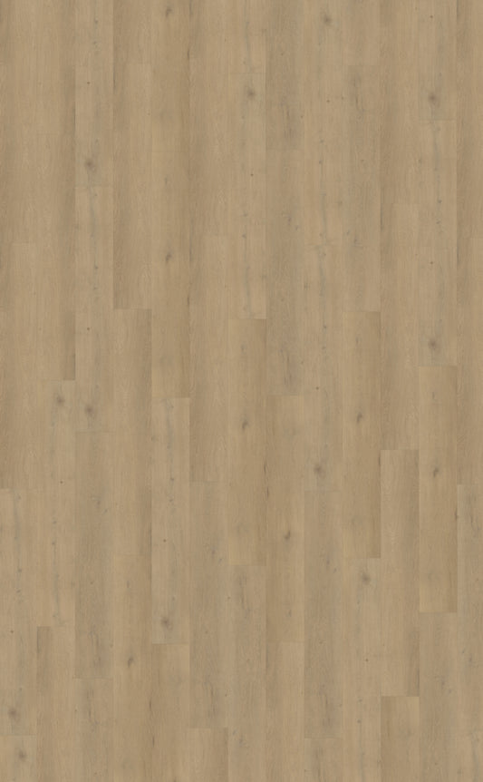 Belakos Attico 870 | Bruin