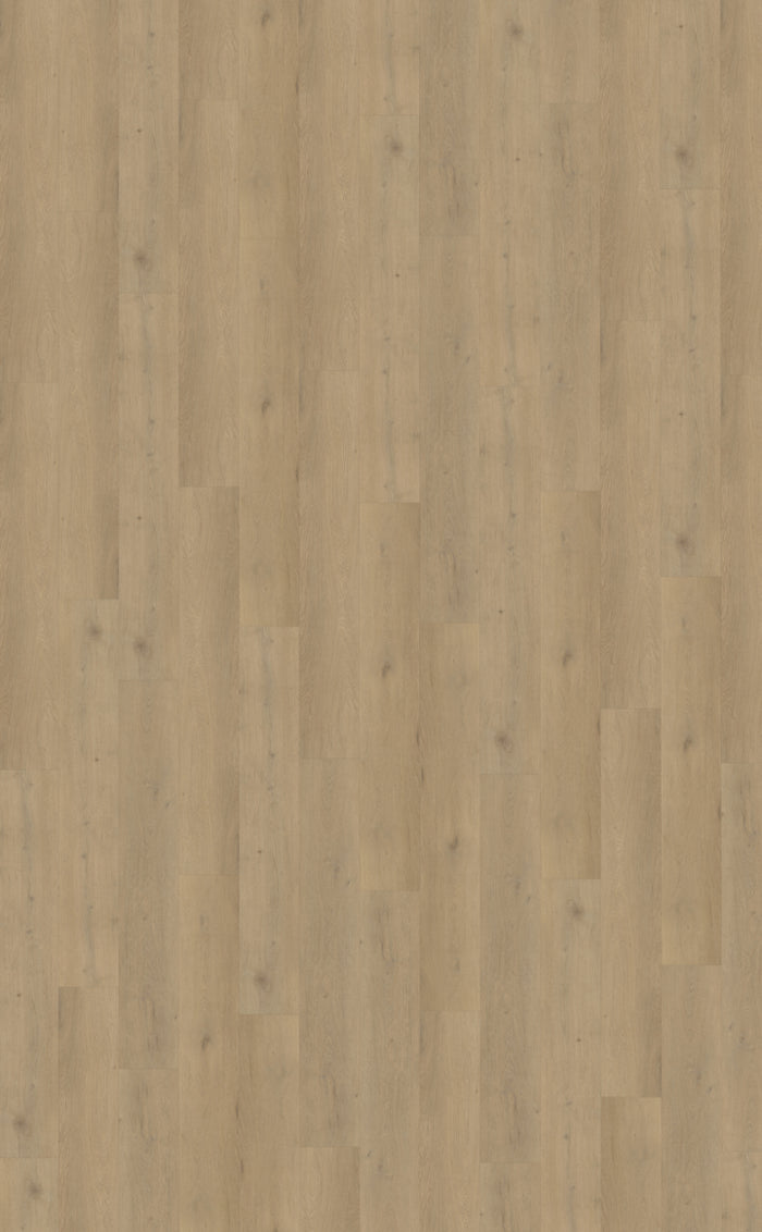 Belakos Attico 870 | Rigid Click | Bruin