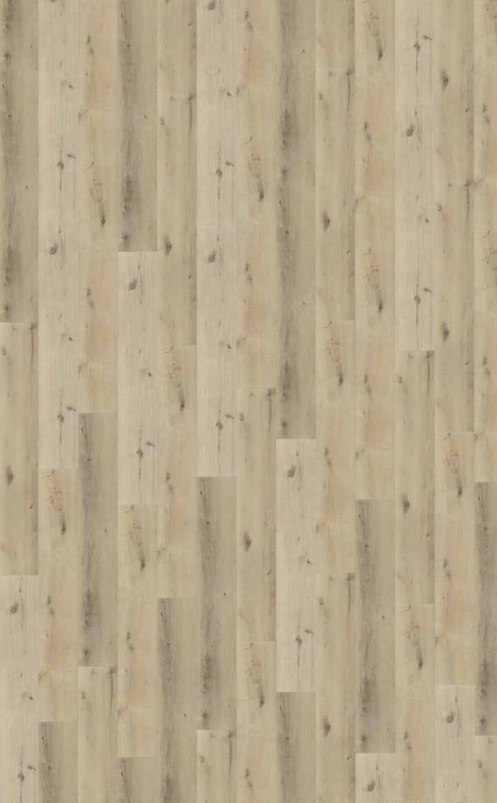 Belakos Palazzo 150 | Bruin