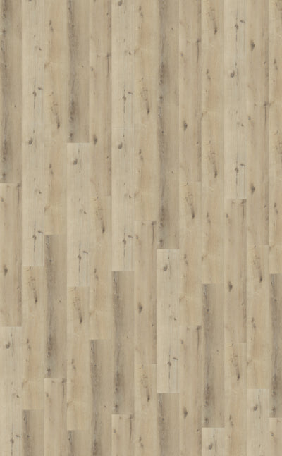 Belakos Palazzo 150 | Bruin