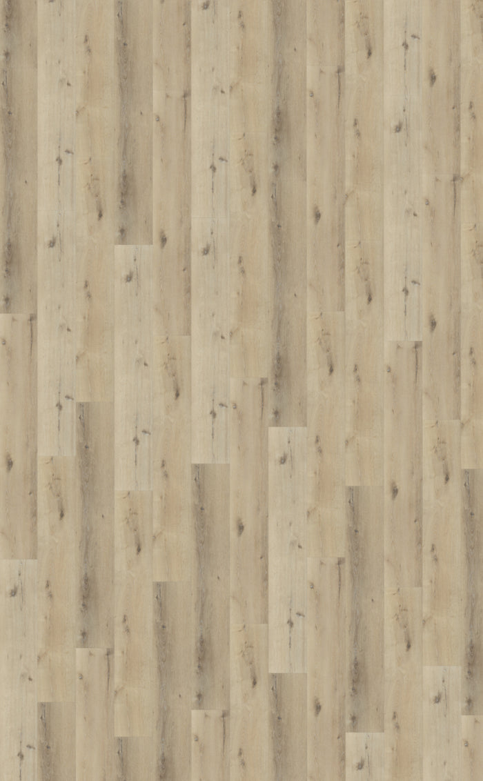 Belakos Palazzo 150 | Bruin