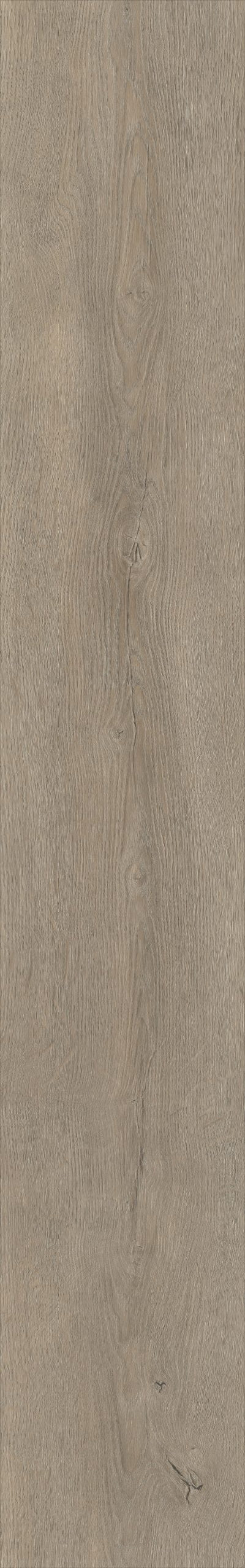 Belakos Palazzo 700 | Bruin