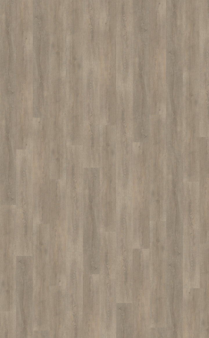 Belakos Palazzo 700 | Bruin